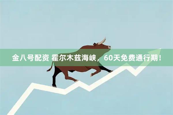 金八号配资 霍尔木兹海峡，60天免费通行期！