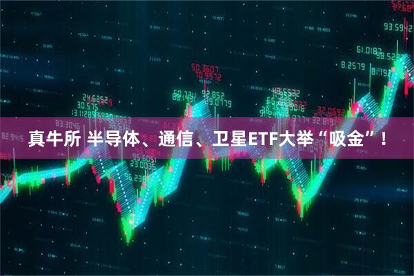 真牛所 半导体、通信、卫星ETF大举“吸金”！