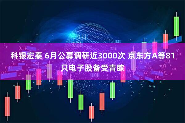 科银宏泰 6月公募调研近3000次 京东方A等81只电子股备受青睐